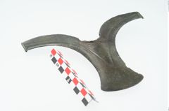 Foto von Bronzeflügelortband (NHMW-PRAE-024622)
